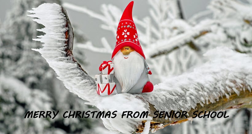 Merry Christmas from Senior School