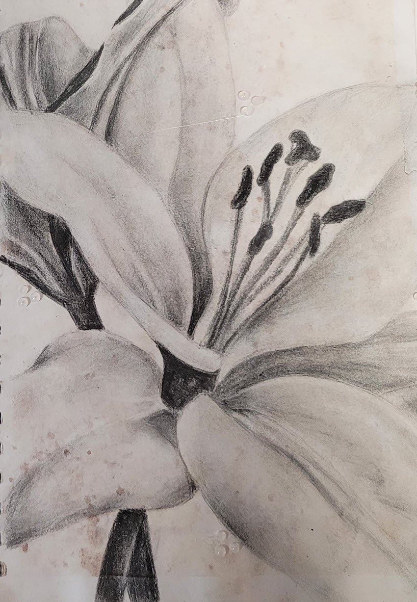 Year 11 Portfolio work